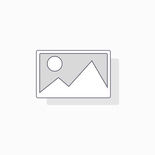 Sac Plat